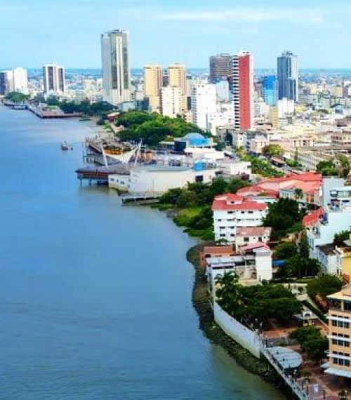 guayaquil reina del camino