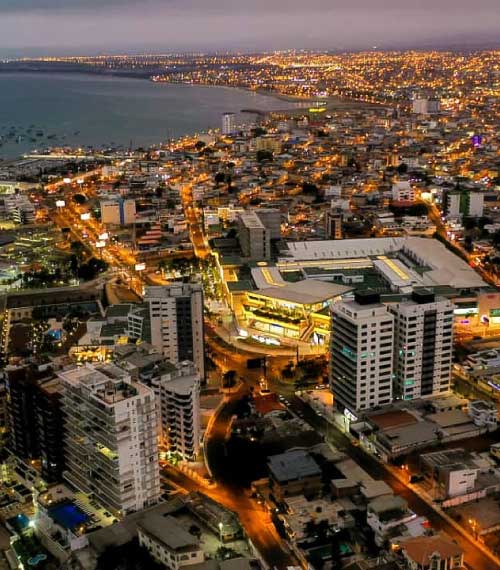 manta reina del camino